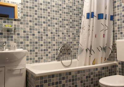apartman plavi, wc